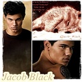 Jacok black - jacob-black photo
