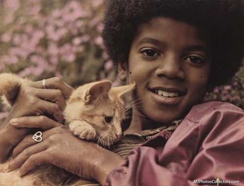 Lil-Mikey-young-michael-jackson-15084894-500-382.jpg