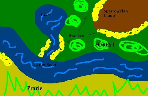 Outside of Sparrowclan camp(Territory)