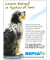 RSPCA WALLPAPER - against-animal-cruelty photo