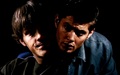 supernatural - Sam & Dean in 'Phantom Traveler' wallpaper
