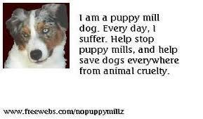 Stop Puppy Mills :(