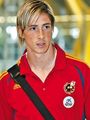 Fernando Torres - fernando-torres photo
