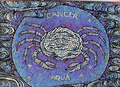 Cancer - astrology photo