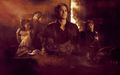 the-vampire-diaries-tv-show - Damon wallpaper