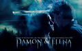 Delena; two flames. - the-vampire-diaries wallpaper