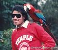 I Love U MJ!! - michael-jackson photo