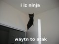Iza ninja - random photo