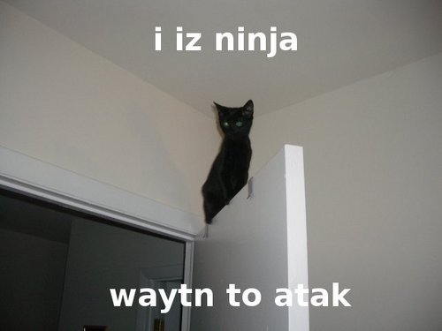  Iza ninja