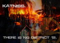 Katniss - Catching Fire - the-hunger-games fan art