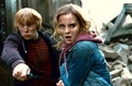 Ron and Hermione battles at the Entrance Courtyard. - harry-potter photo