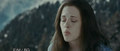 twilight-series - bella's face. haha screencap