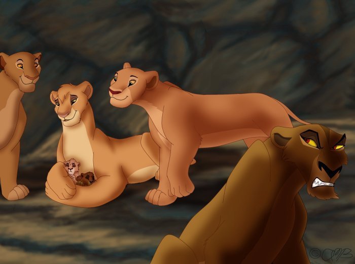 lions and lionesses. lions and lionesses. furry