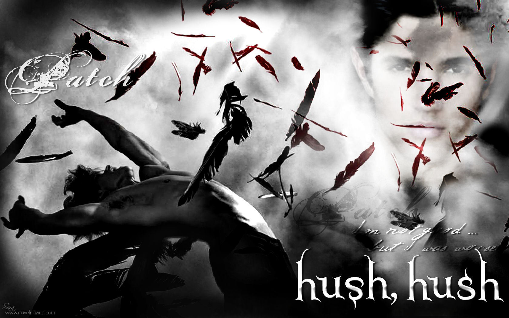 Hush Hush Galleries