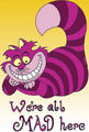 Cheshire Cat♥ - the-cheshire-cat fan art