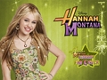 hannah-montana - Hannah Montana biggest fan 4'ever wallpaper by megha wallpaper