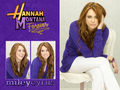 hannah-montana - Hannah Montana forever -miley stewart promoshoot wallpapers by dj!!! wallpaper