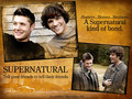 My baby's :) - supernatural wallpaper