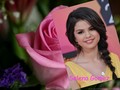 selena-gomez - Selena Gomez  wallpaper