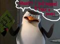 Skipper captured:D - penguins-of-madagascar fan art