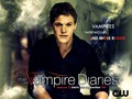 season 2 promo wallpaper - the-vampire-diaries wallpaper