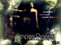 season 2 promo wallpaper - the-vampire-diaries wallpaper