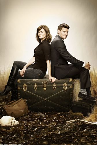 Bones/Booth Season 6 Promotional Poster (HQ)