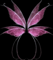 Fairy Wings - fairies photo