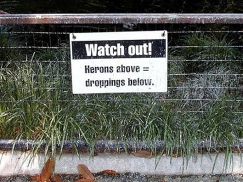 Funny Zoo Signs