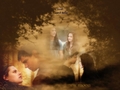 twilight-series - Jacob and Bella wallpaper