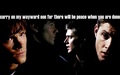 Sam & Dean in 'Bloody Mary' - supernatural wallpaper
