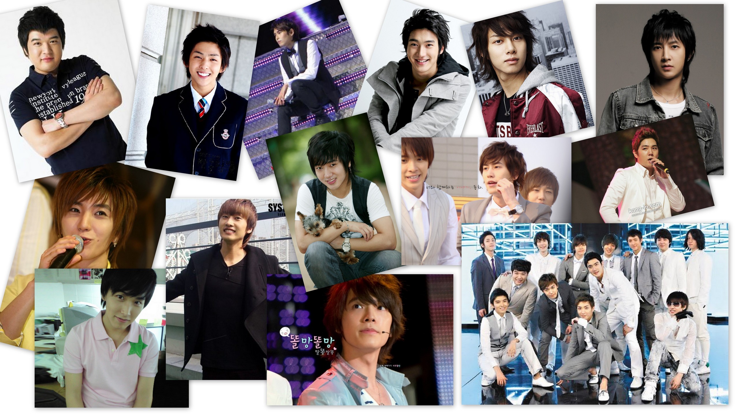 Download this Super Junior Forever picture