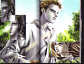 Twilight graphic novel scans - twilight-series photo
