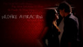 Wildfire Attraction - the-vampire-diaries photo