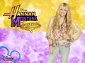 hannah-montana - hannah montana forever pic by pearl as a part of 100 days of hannah :D wallpaper