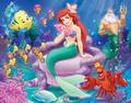 Walt Disney Images - The Little Mermaid - disney-princess photo