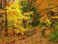 autumn - Beautiful Fall Wallpapers wallpaper
