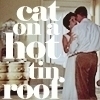  Cat on a Hot Tin Roof
