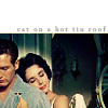  Cat on a Hot Tin Roof