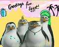 Egyptian Penguins XD - penguins-of-madagascar fan art