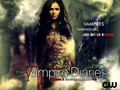 the-vampire-diaries-tv-show - Elena wallpaper