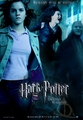 Fanmade Deathly Hallows poster - harry-potter photo