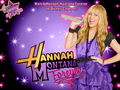 hannah-montana - Hannah Montana forever images as a part of 100 days of hannah by dj!!! wallpaper