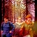 Harry, Hermione & Ron - harry-ron-and-hermione icon