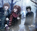 Harry Ron and Hermione - harry-potter photo