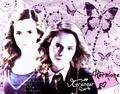 Hermione Granger Wallpaper - hermione-granger photo
