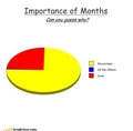 Importance of Months - harry-potter photo