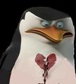 Love Hurts - penguins-of-madagascar fan art