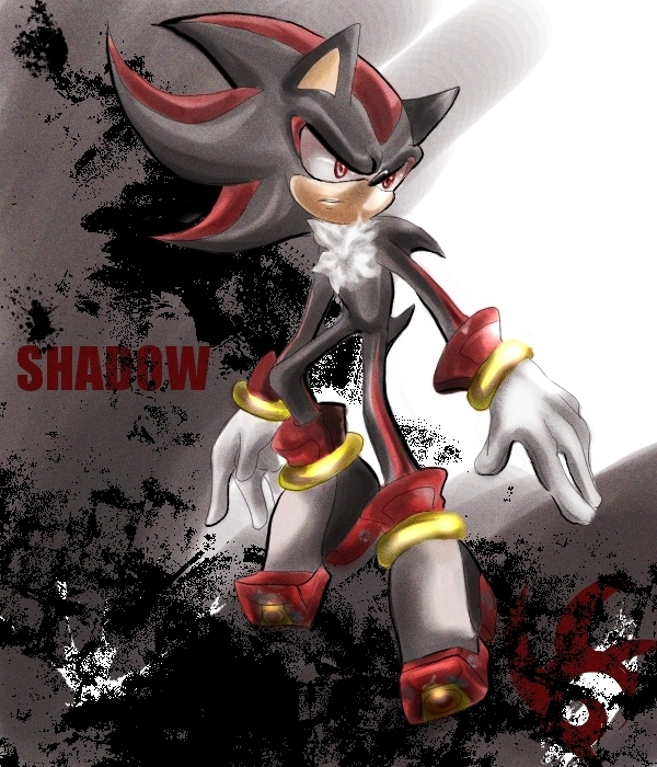 Shadow-shadow-the-hedgehog-15495094-600-700.jpg