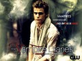 Stefan - the-vampire-diaries-tv-show wallpaper